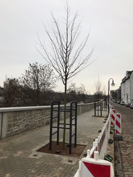 WhatsApp Image 2016-12-10 at 15.24.55.jpeg